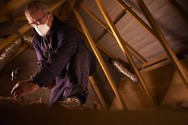 Best Local Insulation Services  in Edinburg, IL